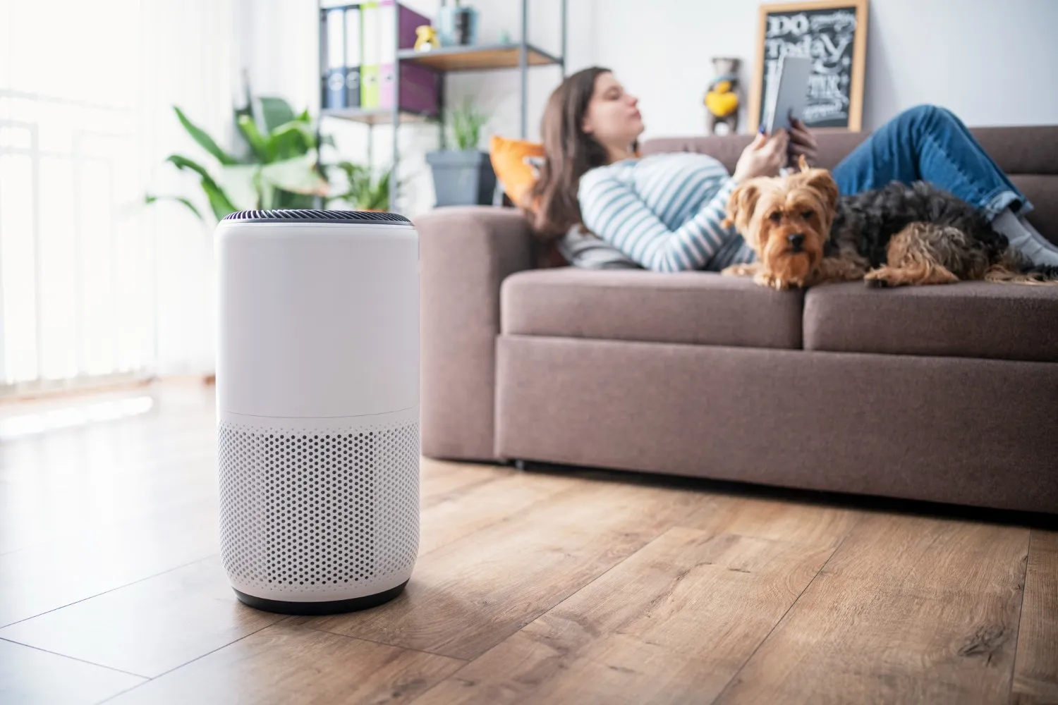 A tall, white air purifier sitting on a wooden floor in a living room with a person and a dog relaxing on a sofa in the background.